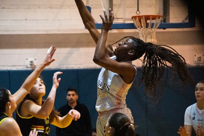 <bound method DexterityContent.Title of <Event at /fs-webs/esports/ca/actualitat/agenda/copy2_of_basquet-lf2-robles-lleida-vs-magectias-contra-violencia-gen>>.