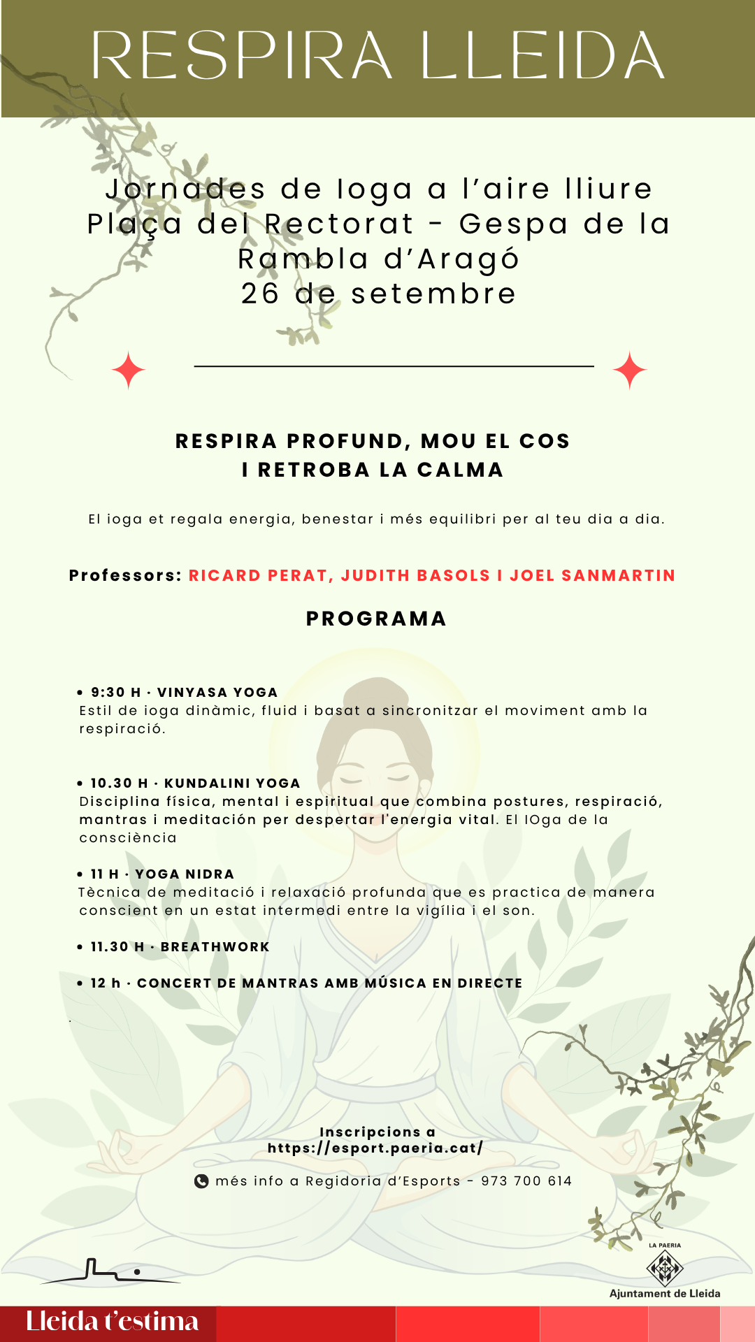 Programa Ananda Yoga