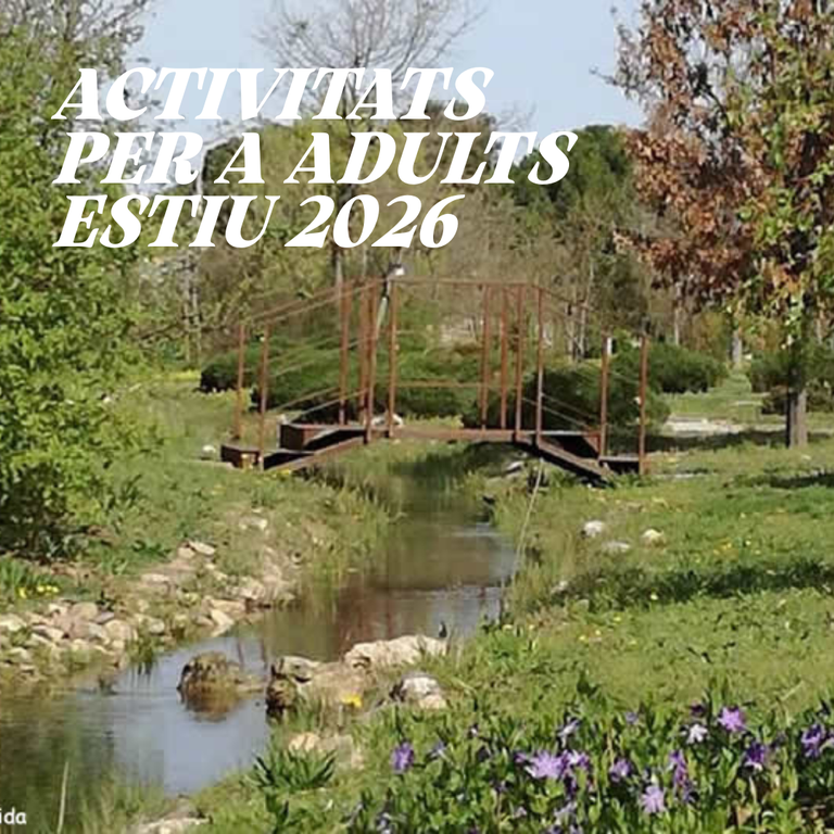 Activitats per a adults - Estiu 2026